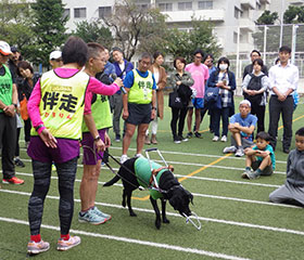オオゴショ、ひろりん。オオゴショが小学生に盲導犬について話をしています。