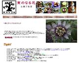 サイトキャプチャ